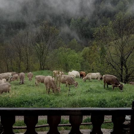 Can Serraima, Casa Rural A Prop De La Cerdanya Neva Εξωτερικό φωτογραφία